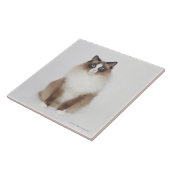 大きい毛皮で覆われた猫 タイル (側面)