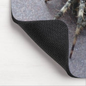 大きい灰色のくも マウスパッド (コーナー)