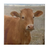 大きい牛目-赤い牛 タイル (正面)