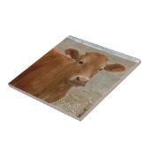 大きい牛目-赤い牛 タイル (側面)