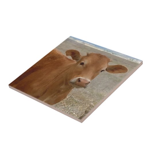 大きい牛目-赤い牛 タイル (側面)