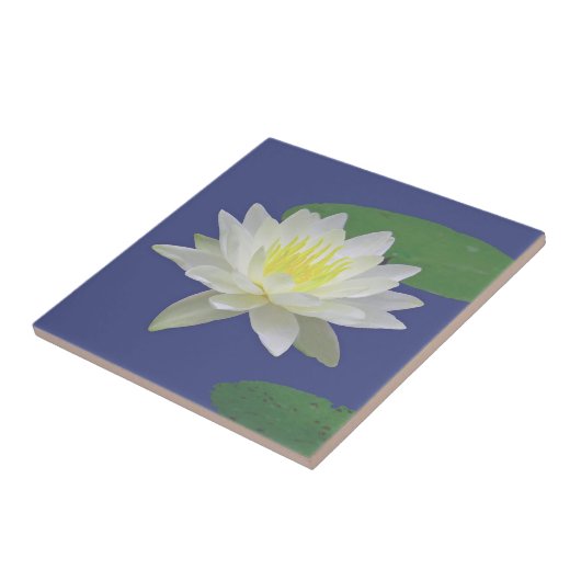 "大きい白蓮教の花"陶磁器TILE/TRIVET タイル (側面)