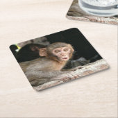 大きい目のコースターを持つおびえさせていた猿 スクエアペーパーコースター (アングル)