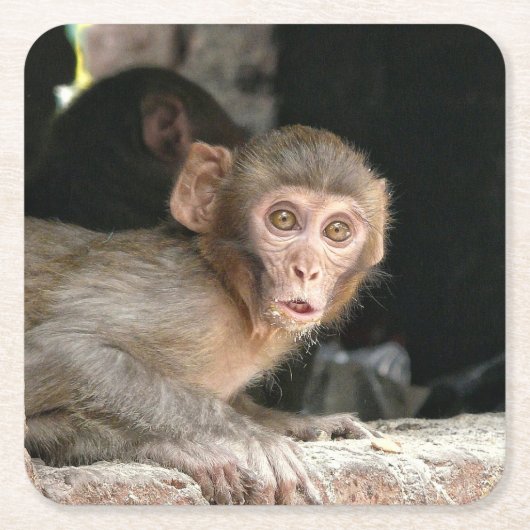 大きい目のコースターを持つおびえさせていた猿 スクエアペーパーコースター (正面)