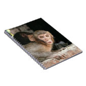 大きい目のノートを持つおびえさせていた猿 ノートブック (右側)