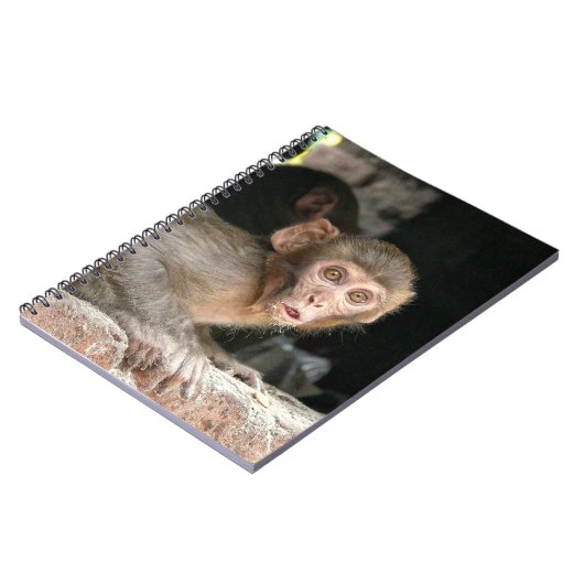 大きい目のノートを持つおびえさせていた猿 ノートブック (左側)