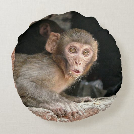 大きい目の円形の枕を持つおびえさせていた猿 ラウンドクッション (裏面)