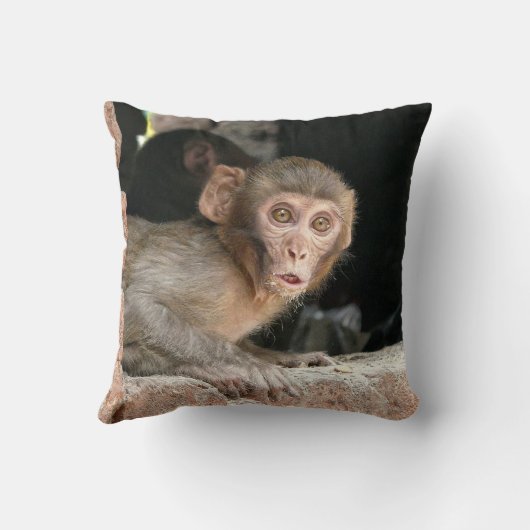 大きい目の装飾用クッションを持つおびえさせていた猿 クッション (裏面)