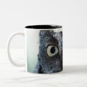 大きい目を示す東のアメリカオオコノハズクのポートレート ツートーンマグカップ (左)