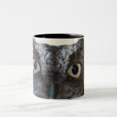 大きい目を示す東のアメリカオオコノハズクのポートレート ツートーンマグカップ (中央)