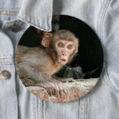 大きい目ボタンを持つおびえさせていた猿 缶バッジ (インサイチュ)