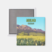 大きい石コロラドフラティロンズマウンテンズヴィンテージ マグネット (正面/裏面)