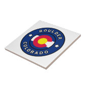 大きい石コロラド タイル (側面)