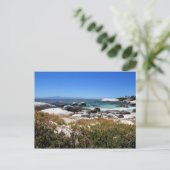 大きい石ビーチとその有名なペンギンの景色 ポストカード (スタンド正面)