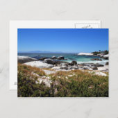 大きい石ビーチとその有名なペンギンの景色 ポストカード (正面/裏面)