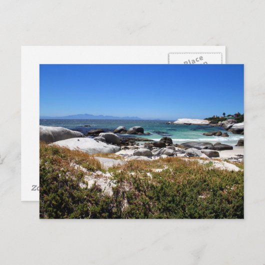 大きい石ビーチとその有名なペンギンの景色 ポストカード (正面/裏面)