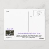 大きい石秋 ポストカード (裏面)