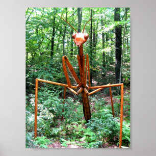 大きい祈るカマキリポスター ポスター
