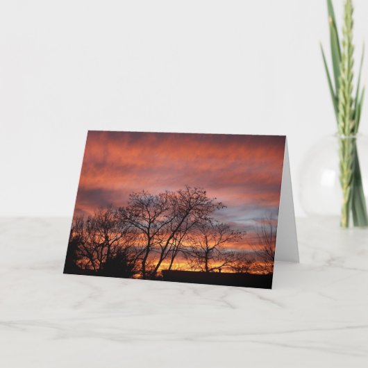 大きい空 カード (正面)