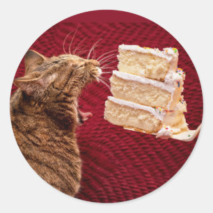 大きい簡単な仕事を食べているおもしろいな猫 ラウンドシール