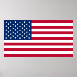 大きい米国の旗米国米国ポスター ポスター