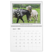 大きい聖書の詩の12か月の馬のカレンダー カレンダー (3月 2026)