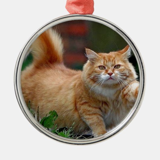 大きい脂肪質のオレンジ猫 メタルオーナメント (正面)