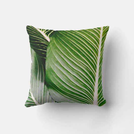 大きい葉の枕 クッション (裏面)