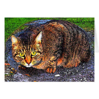 大きい虎猫猫