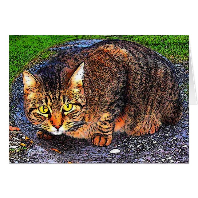 大きい虎猫猫 (正面横)