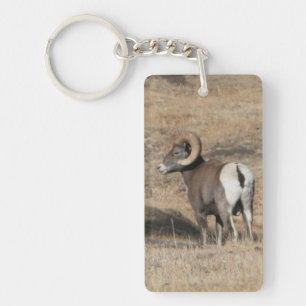 大きい角のラムのアクリルKeychain キーホルダー