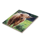 大きい角の美しい自然の景色の牛 タイル (側面)