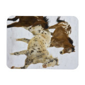 大きい角山、雪4で走っている馬 マグネット (横)