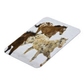 大きい角山、雪4で走っている馬 マグネット (左側)