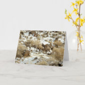 大きい角状のヒツジの写真が付いている空白のな挨拶状 カード (黄色い花)