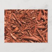 大きい赤いヒマラヤスギの根おおいパターン景色の建築業者 ポストカード (正面)