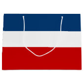 大きい赤く白くおよび青のギフトバッグ-光沢のある ラージペーパーバッグ (正面)