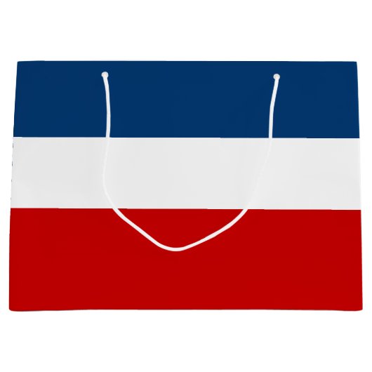 大きい赤く白くおよび青のギフトバッグ-光沢のある ラージペーパーバッグ (正面)