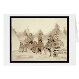 大きい足のMiniconjouのインドのキャンプSD 1891年