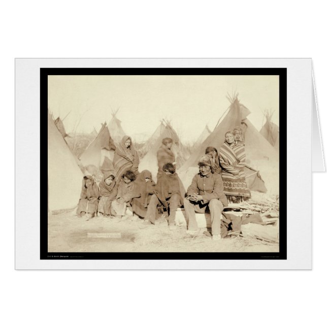 大きい足のMiniconjouのインドのキャンプSD 1891年 (正面横)