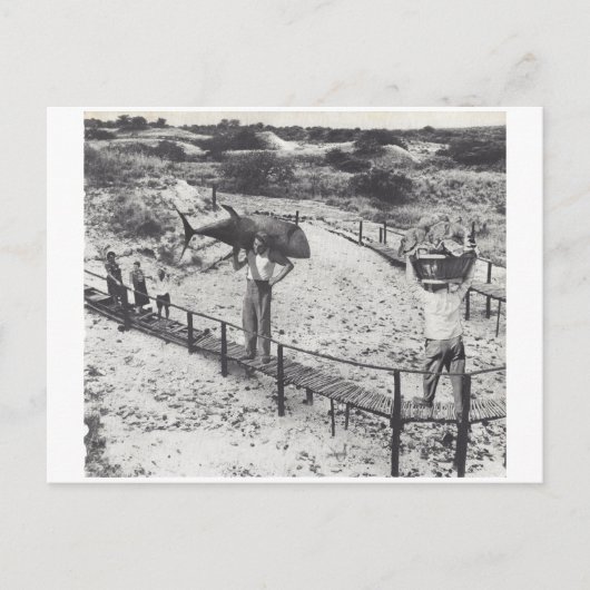 大きい魚- インビテーションポストカード (正面)