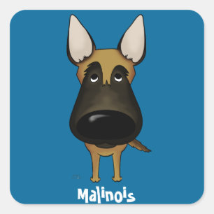 大きい鼻Malinois スクエアシール
