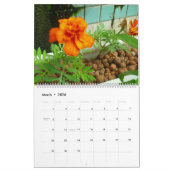 大きい2013の庭のプールのカレンダー- カレンダー (3月 2026)