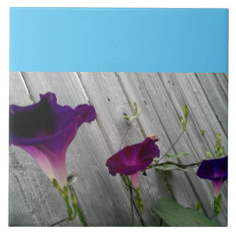 大きい、装飾的 タイル