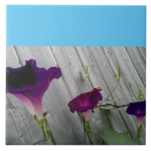 大きい、装飾的 タイル (正面)