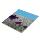 大きい、装飾的 タイル (側面)