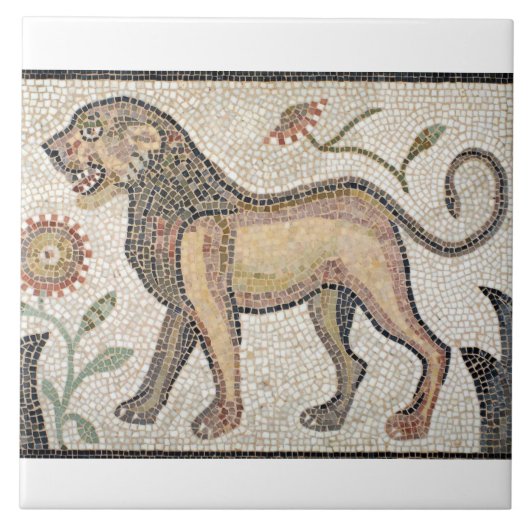 大きい(6" x 6")陶磁器の写真のタイルかローマのモザイク タイル (正面)