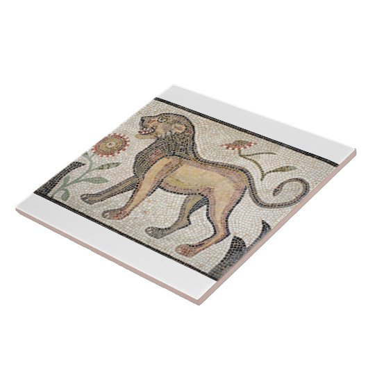 大きい(6" x 6")陶磁器の写真のタイルかローマのモザイク タイル (側面)