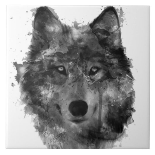 大きい(6" X 6")陶磁器の写真のタイル タイル (正面)