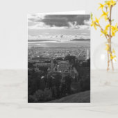 大きい"C"の夕方からの西 カード (黄色い花)